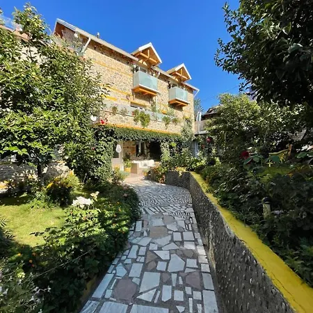 House 1960 3* Lini