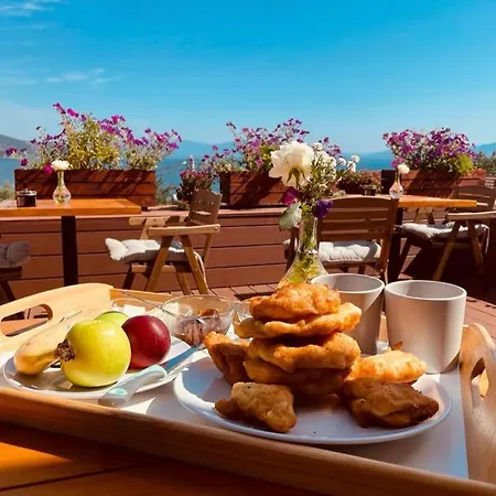 House 1960 فندق مبيت وإفطار Lini