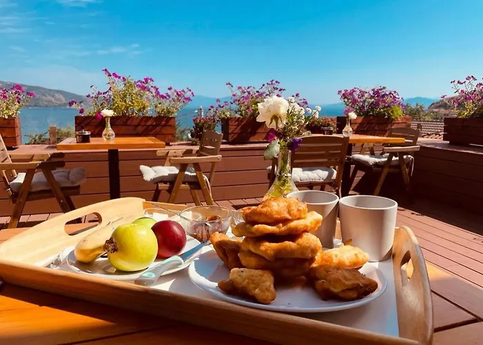 House 1960 Panzió Lini